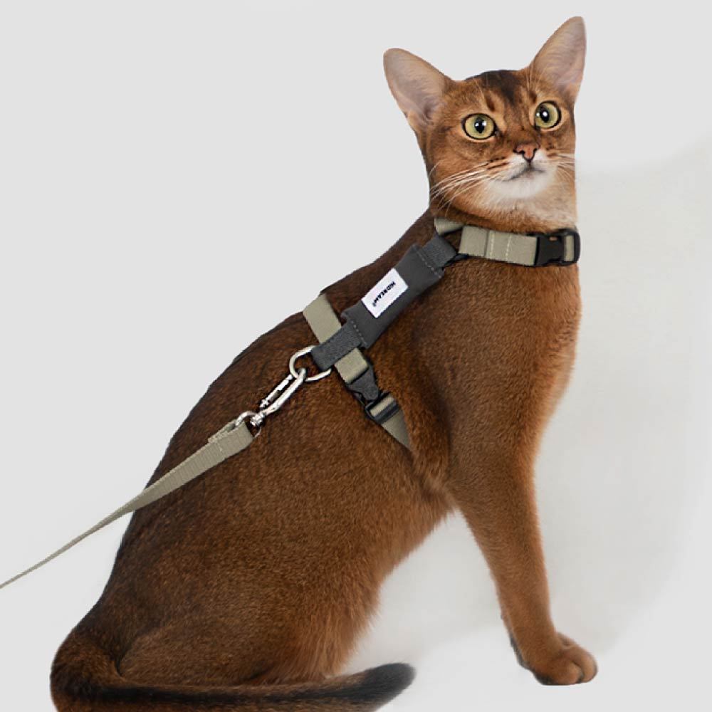 山谷貓貓工型胸背牽繩組(兩色)